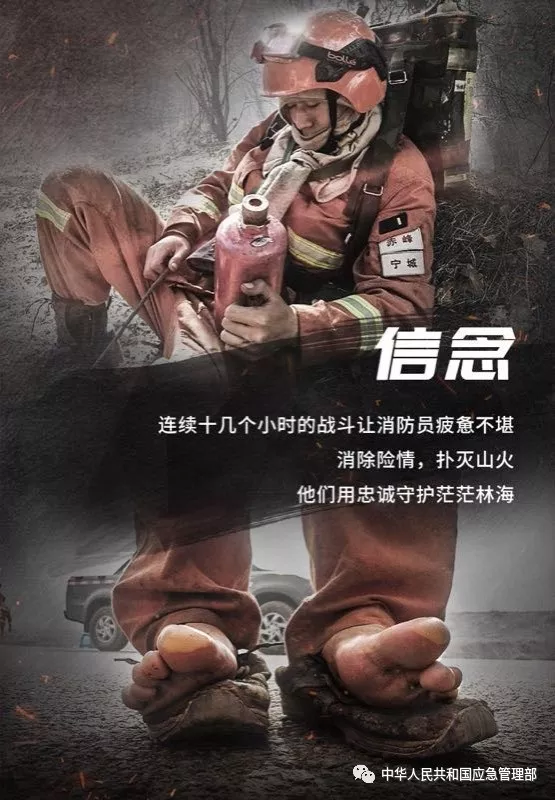致敬!在水与火中淬炼钢铁意志的森林消防员!