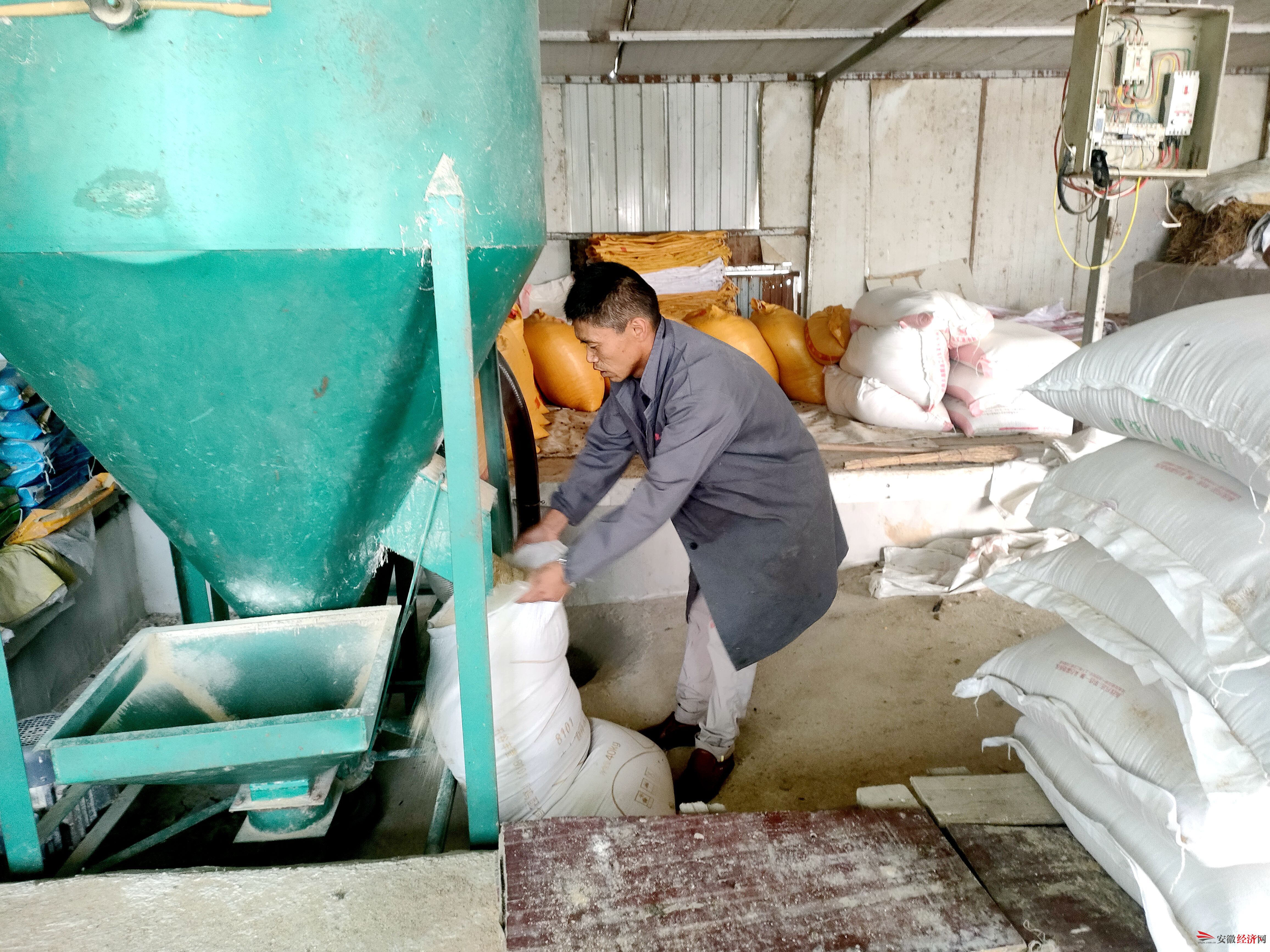 5万元免息贷款“孵”出“金凤凰”