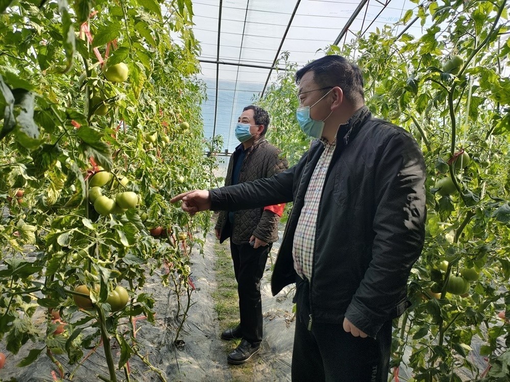 【乡村振兴看安徽】乡村振兴路上，安徽有多拼？且看这组数字