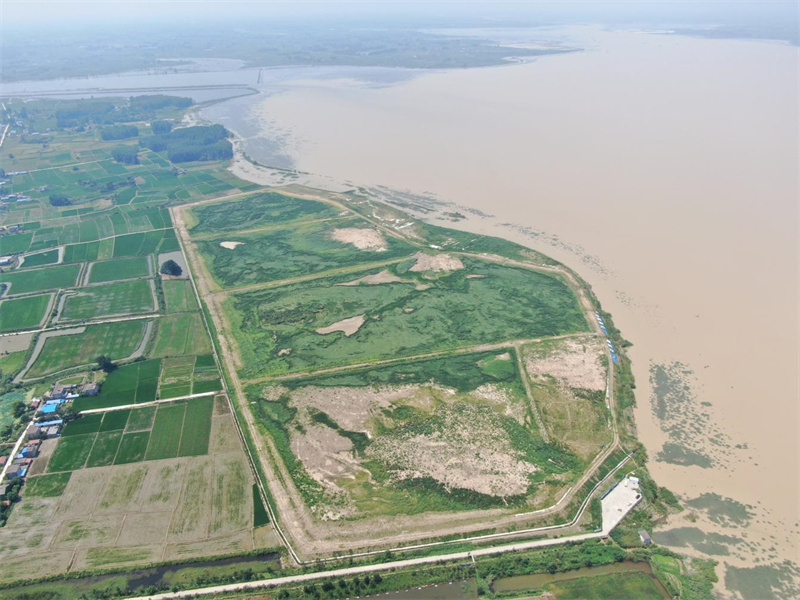 瓦埠湖航道工程泄泥区生态固化。陈毅供图