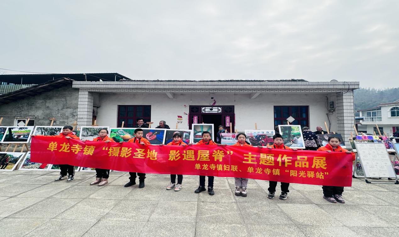 但龙石1