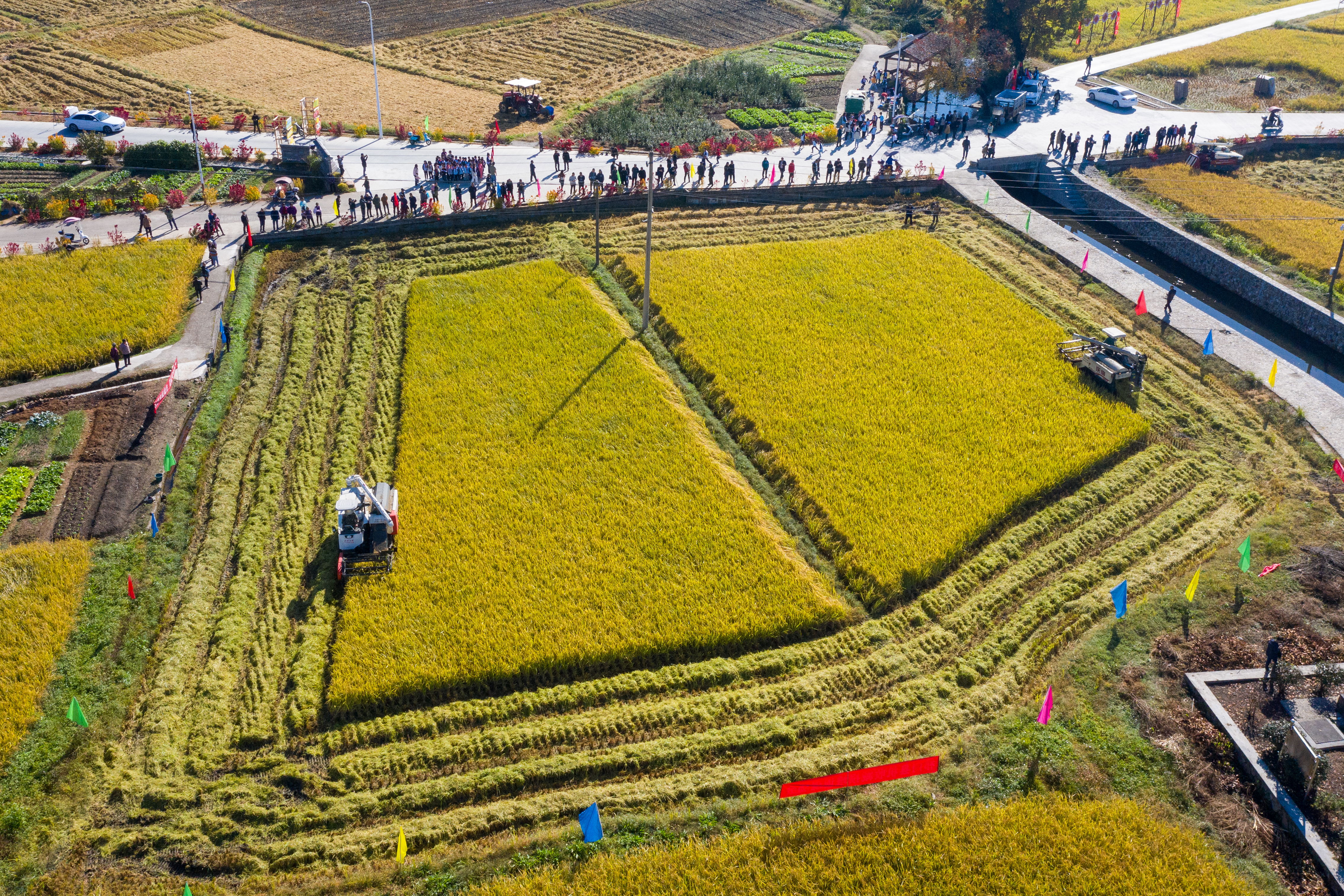 微信图片_20240105102505