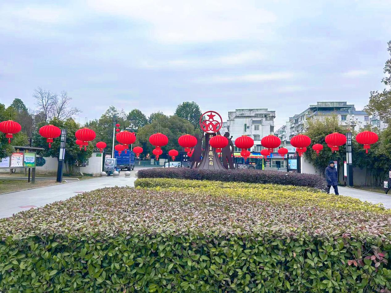 图片11