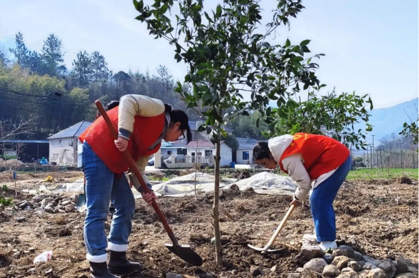 宁国市梅林镇巾帼植树护绿