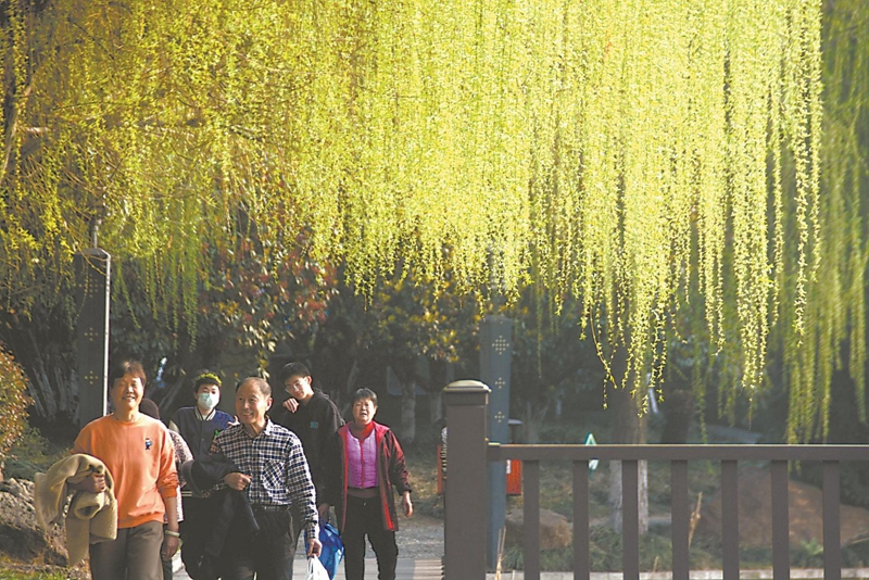 3月16日， 巢湖市洗耳池公园里垂柳依依，花儿盛开，美不胜收。.jpg