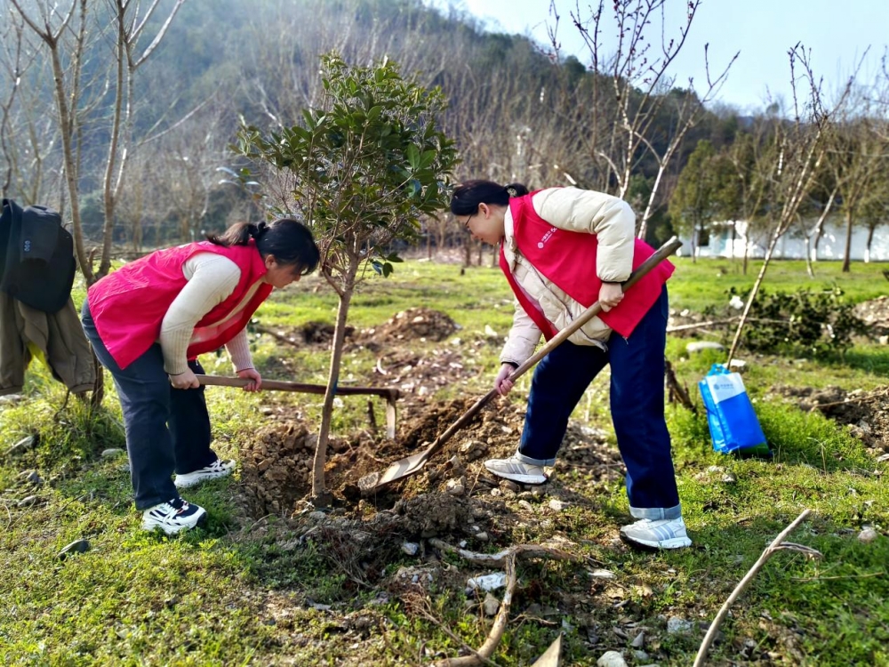 安徽移动池州分公司积极组织党员及青年志愿者参与植树造林活动 安徽移动池州分公司积极组织党员及青年志愿者参与植树造林活动