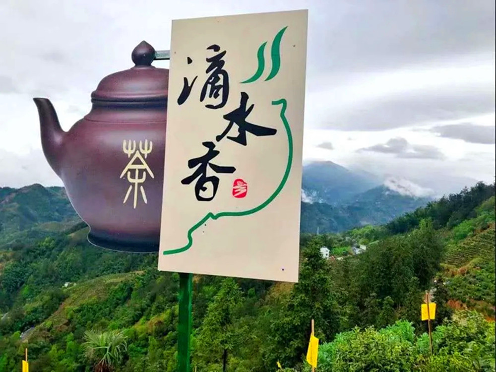 2024歙县滴水香茶旅文化节邀你来品茶