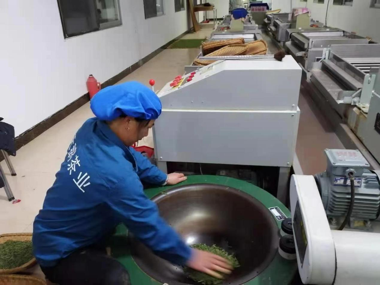 东至县木塔乡省级农业产业化龙头企业——“天鹅茶业” 东至县木塔乡省级农业产业化龙头企业——“天鹅茶业”