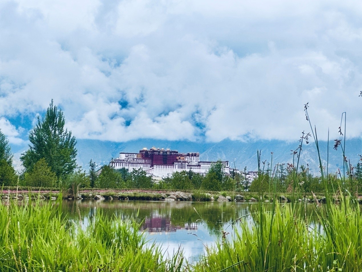 我们的家园丨拉萨南山公园:增绿添景让城市更宜居