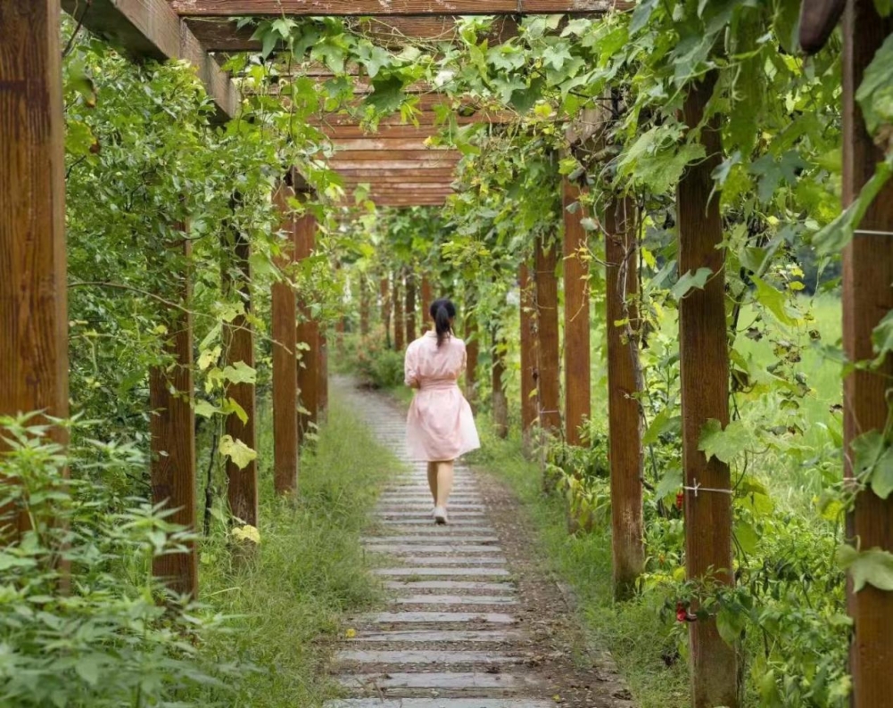 东至县木塔乡:乡间小菜园 诗意栖居地 东至县木塔乡:乡间小菜园 诗意栖居地