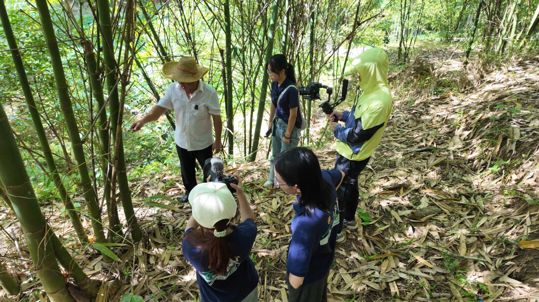 广东财经大学食嘢百态实践团,在龙门县龙华镇西溪村开展了一场调研之旅。