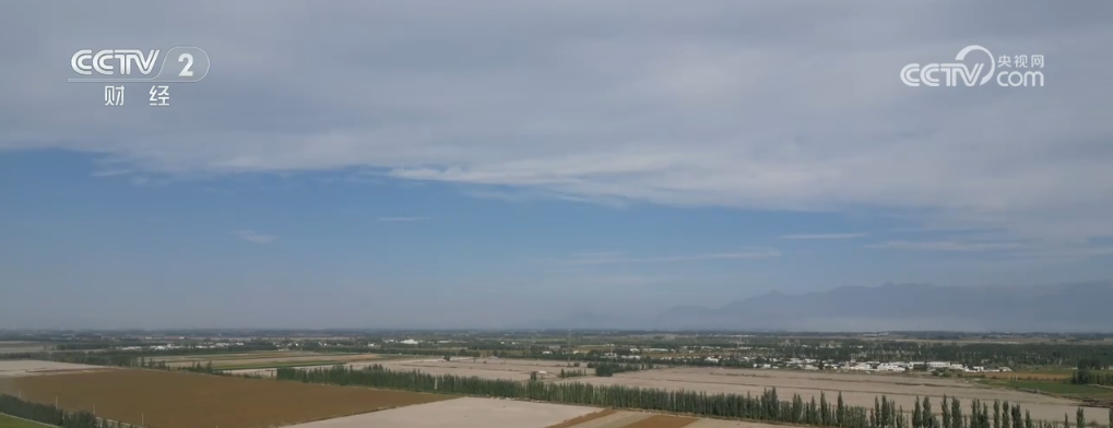 b70444464e25df2a4e8990bacb108ca5_2024100217065839279