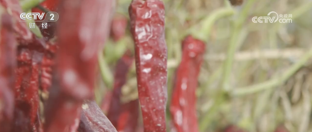 6ee0a3b9e7ba945b079aadcb5465eecb_2024100217065827300