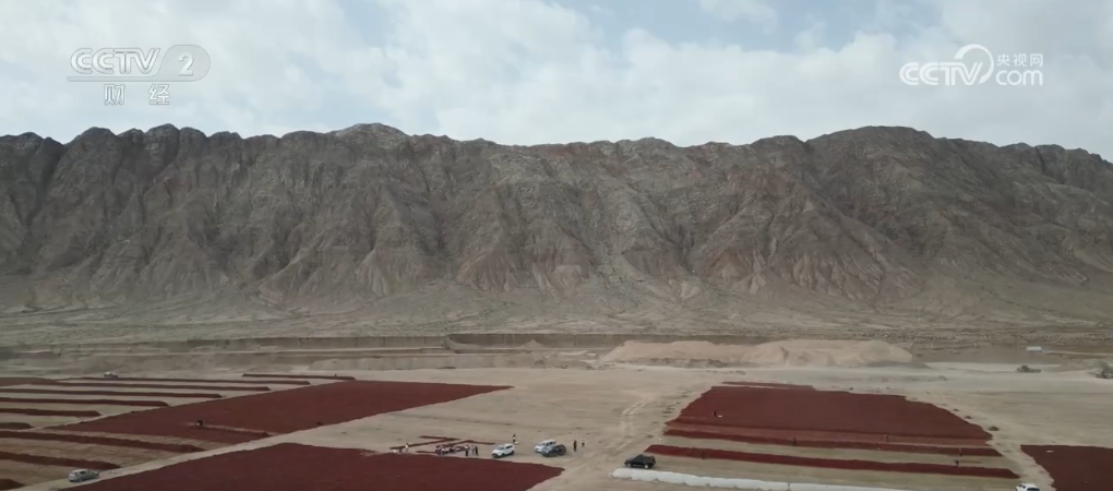 a87ea24cd9fe926689d0b6854c7b89ed_2024100217065910314