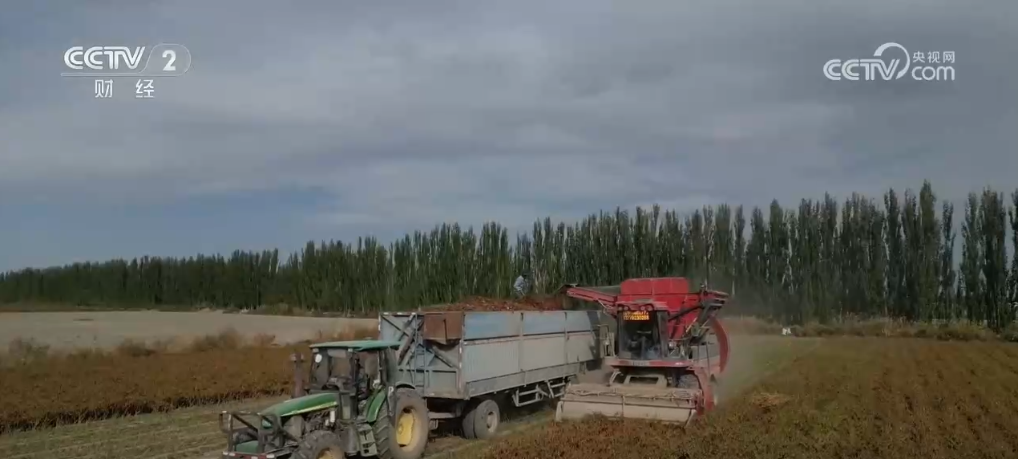 cd27dc9c28c3e1b2e80e7305db48d5c7_2024100217080817901