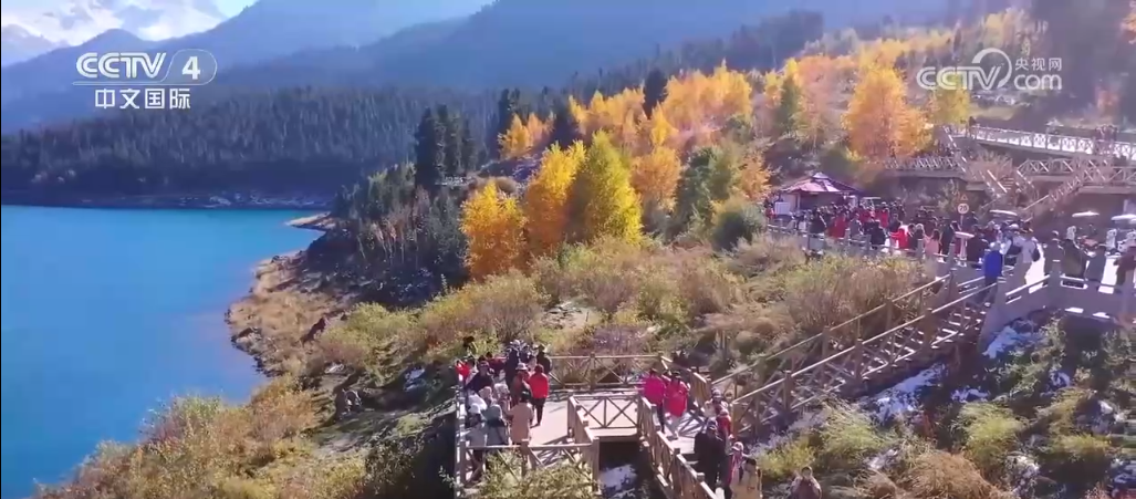 46a0e8a2c12807c0681f19bc9553c107_2024100214134845402