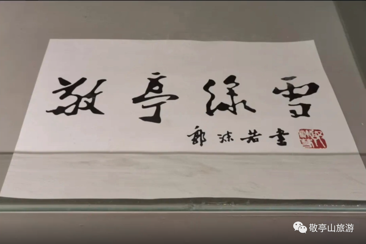 敬亭绿雪.png