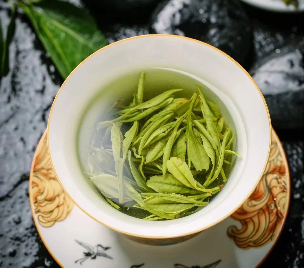 阳羡雪芽副本.jpg