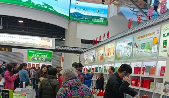 图片5 图片5