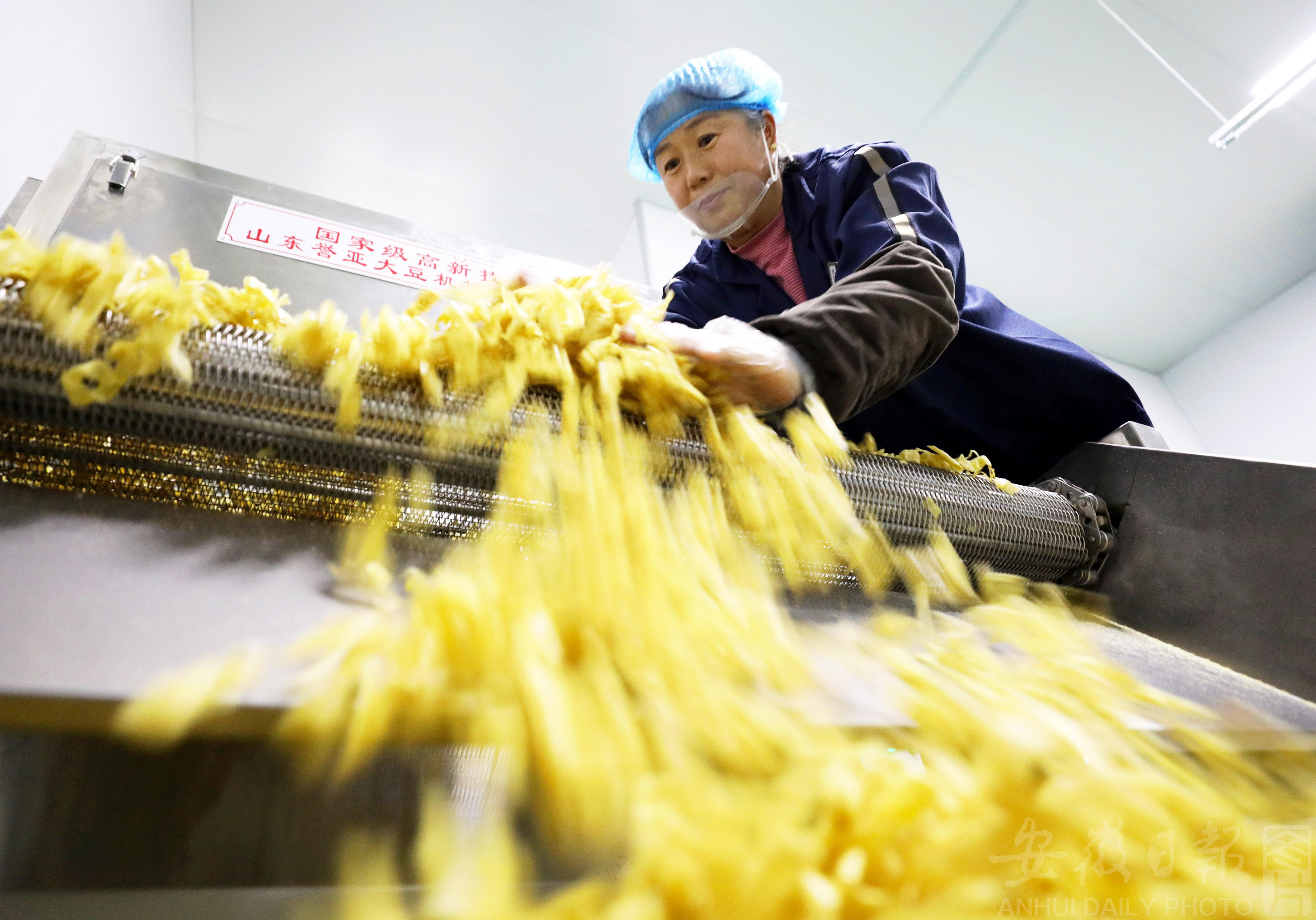 IMG_2039_20250108115543A036