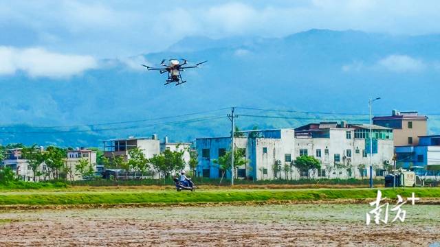 立春农事忙，一台搭载着多光谱摄像头的无人机从地面起飞，飞往河源万绿智慧无人农场进行巡田作业。