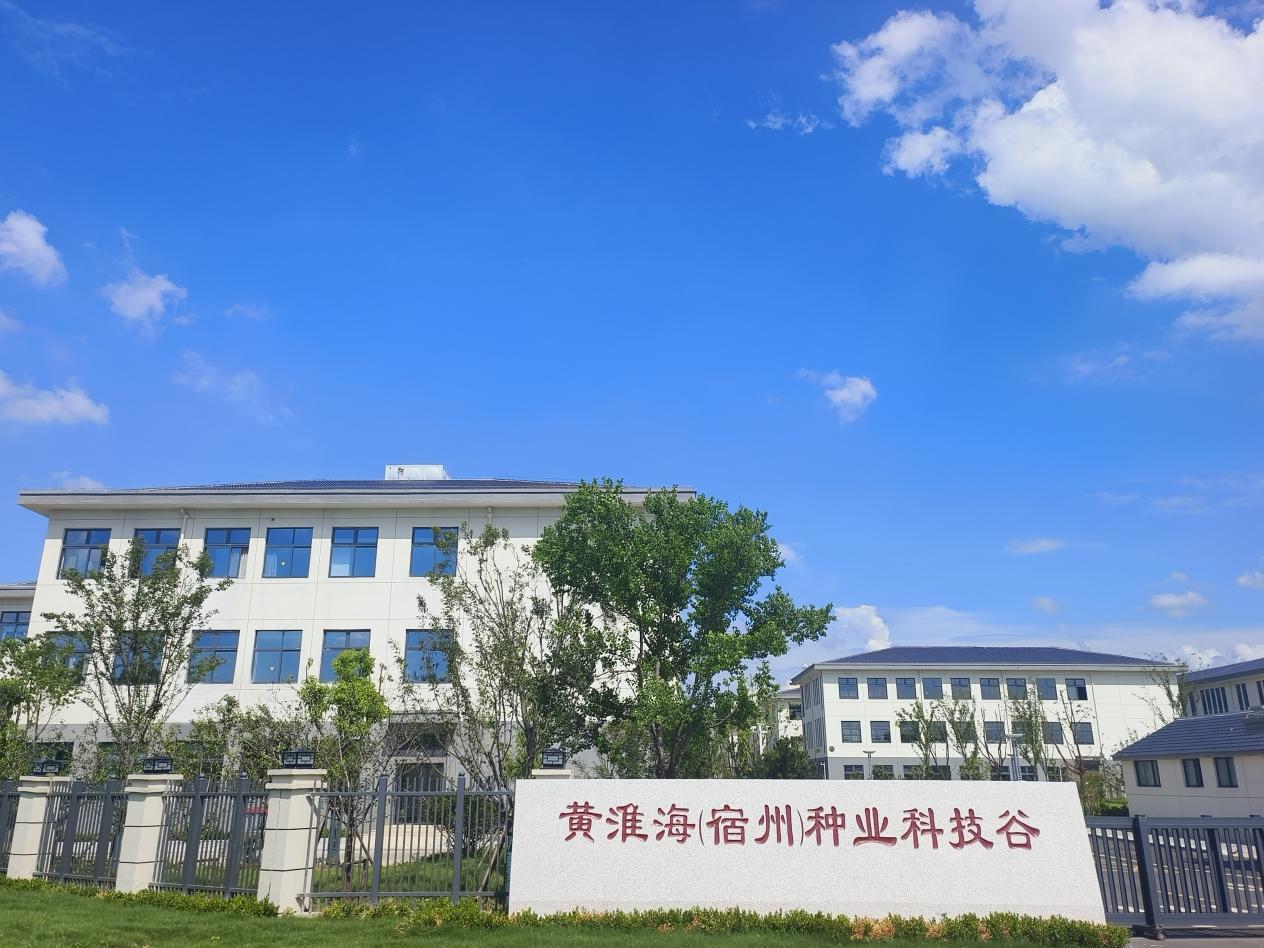 黄淮海（宿州）种业科技谷。宿州市委宣传部供图