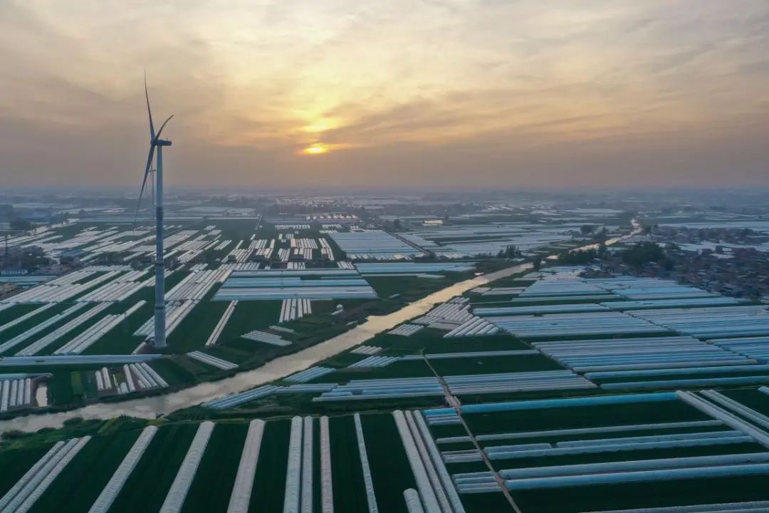 砀山县程庄镇大棚西瓜产业基地。崔猛摄