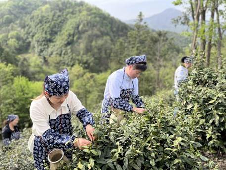 下载 (1)