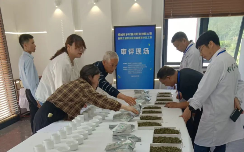 图片10 图片10