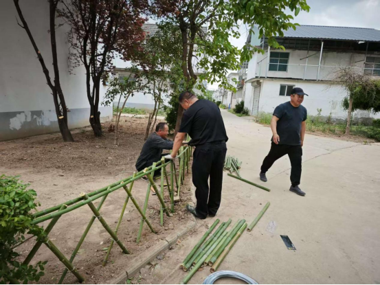 城父镇：整治人居“小环境”，擦亮乡村“高颜值”(2)553
