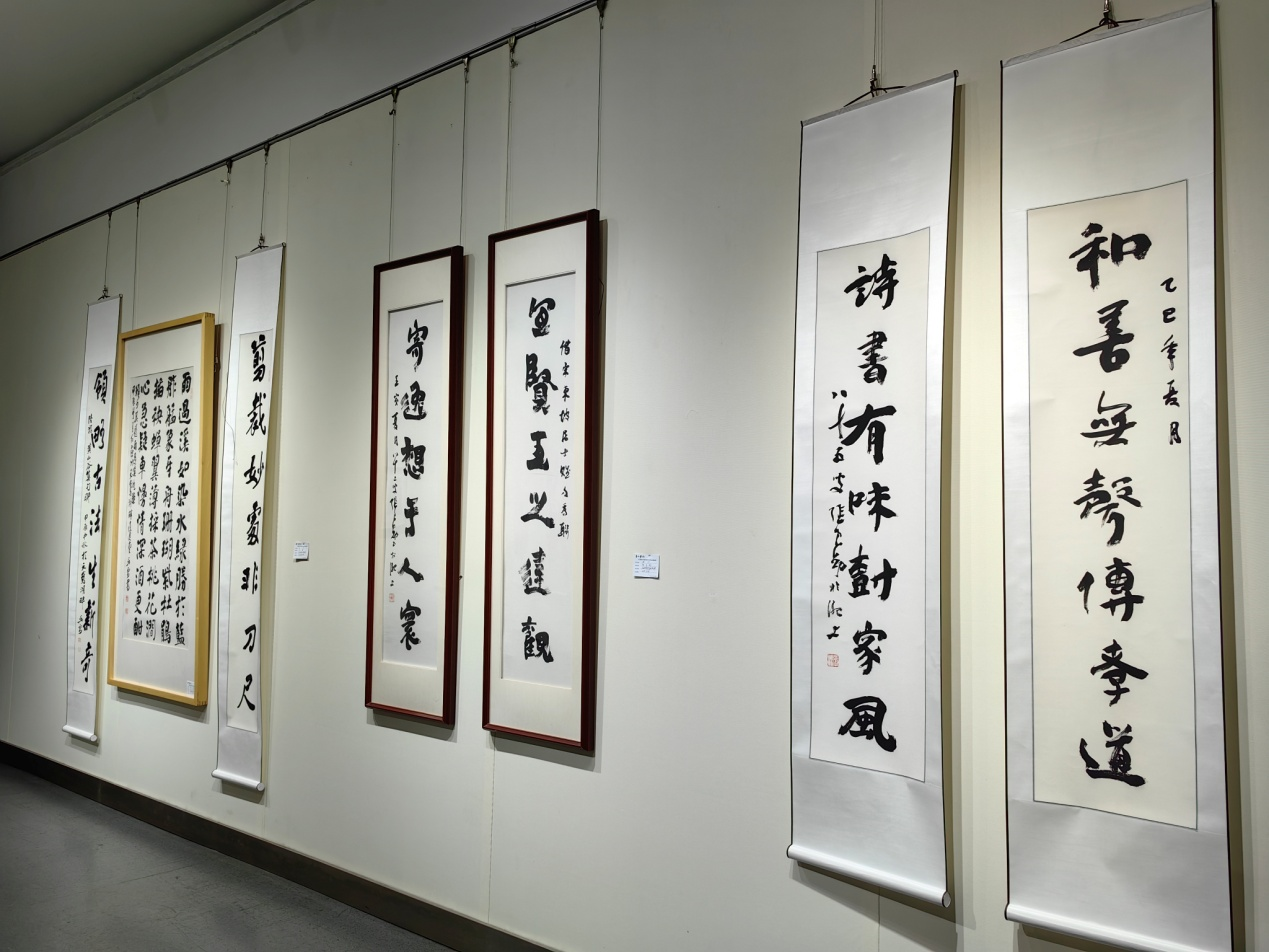 图片13 图片13