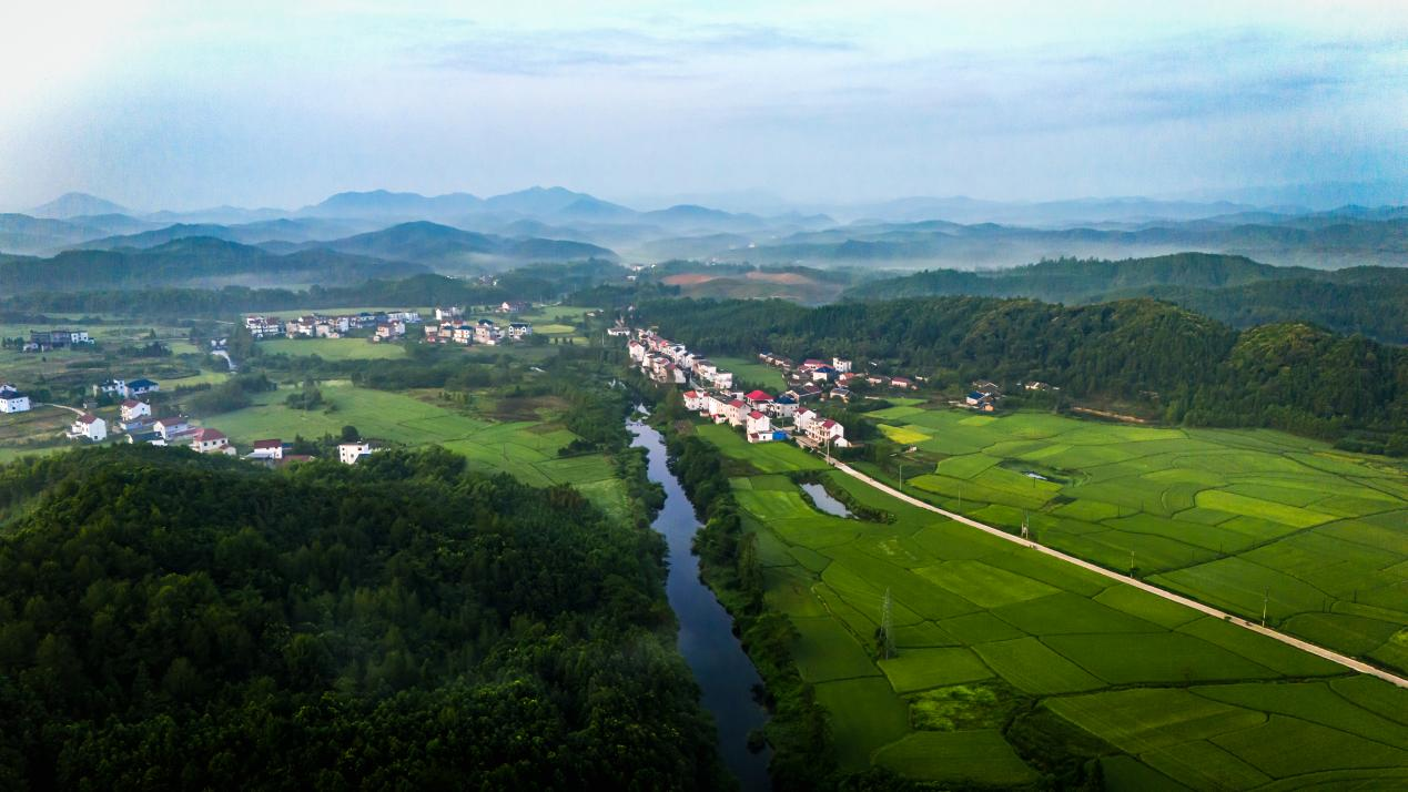 东至县青山乡坚持高标准打造“如画青山”生态标杆