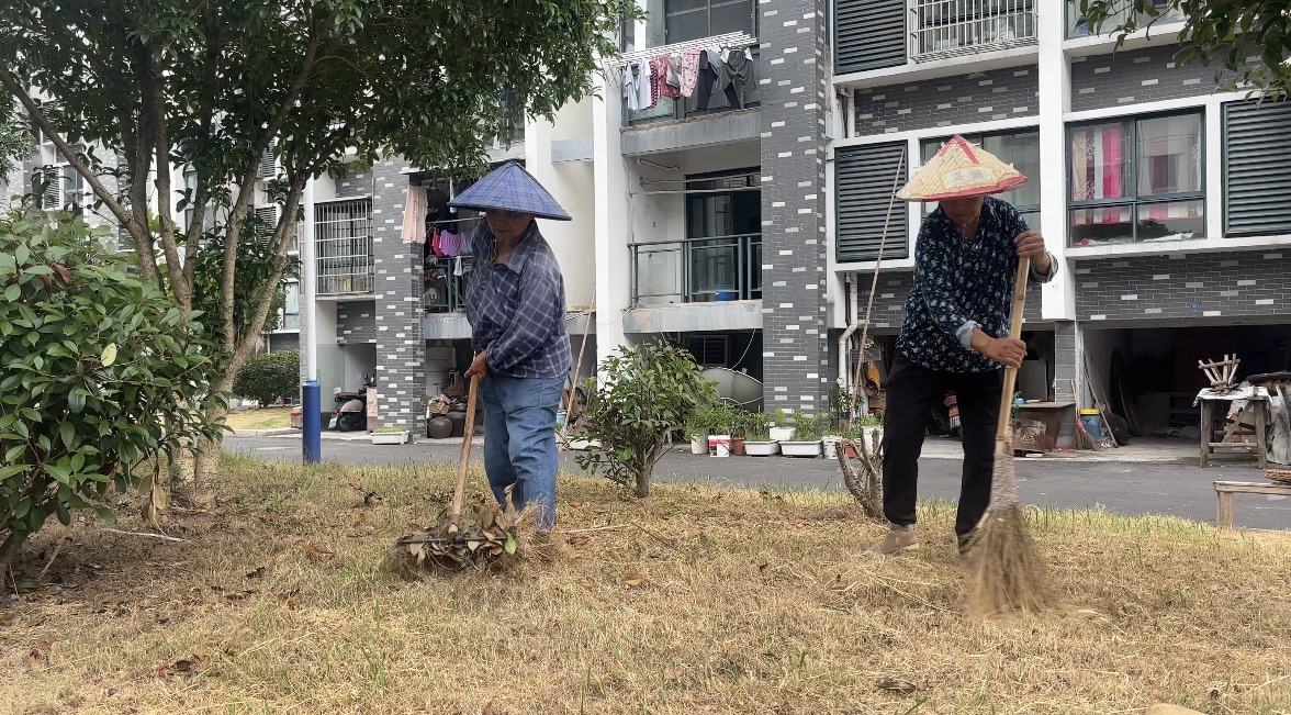 黄山市屯溪区：城郊环境大整治 打造宜居新家园