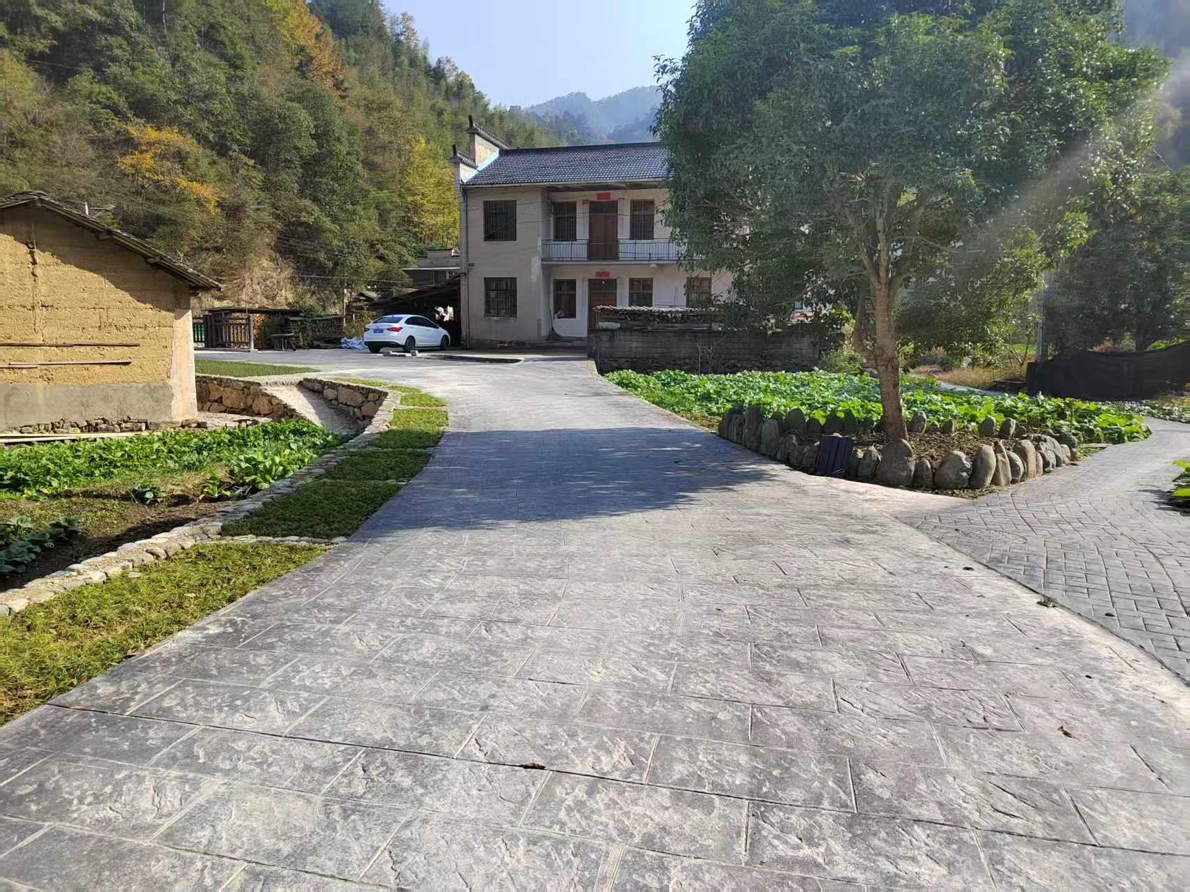 黟县洪星乡：实事办到心坎上 点亮乡村新图景 