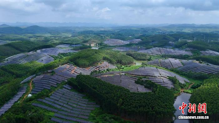（乡村行·看振兴）广西崇左阳光下的“绿色银行”：板上“生电” 板下“生金”