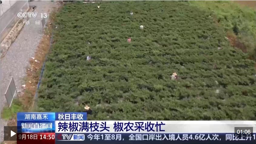 图片7