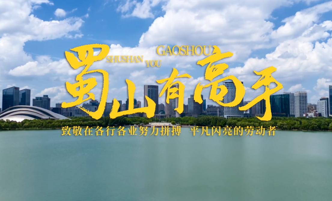 蜀山区融媒体中心作品获全国优秀奖