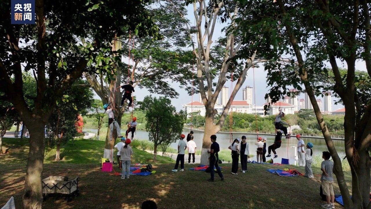 青春华章丨“爬树”也能修学分？这所高校的“攀树课”一课难求！