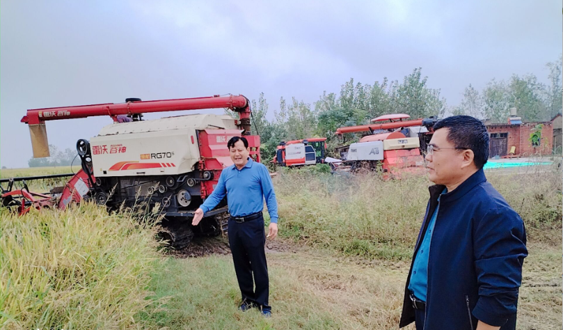 寿县窑口镇：干群同心聚合力 打好秋粮抢收战