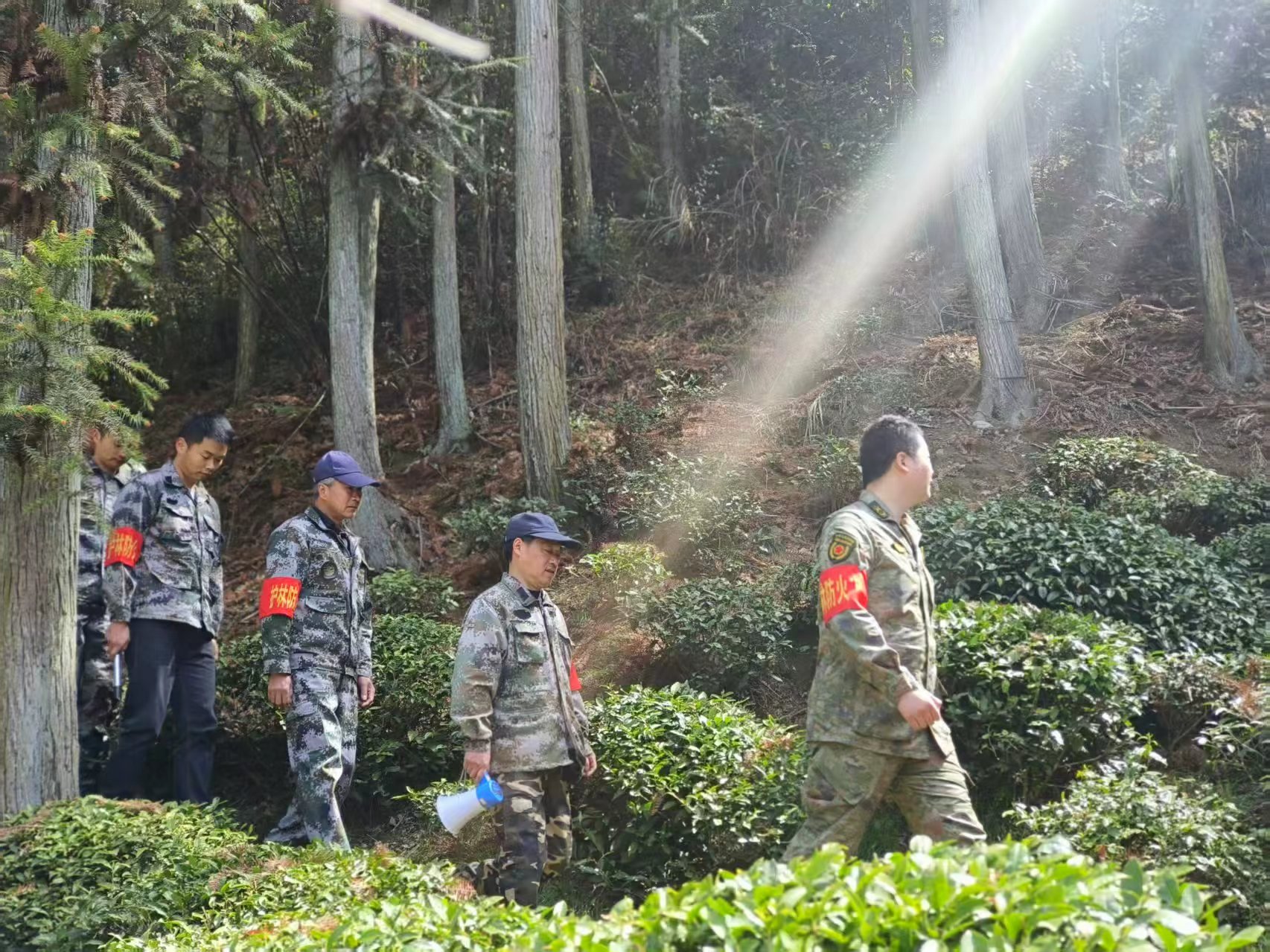 休宁流口镇：推行林长制 做活绿文章