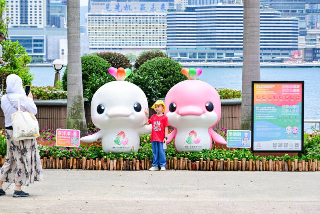 香港金紫荆广场上，“喜洋洋”和“乐融融”?笑意盈盈，与前来留影的孩童定格下美好瞬间。新华社记者 朱炜 摄