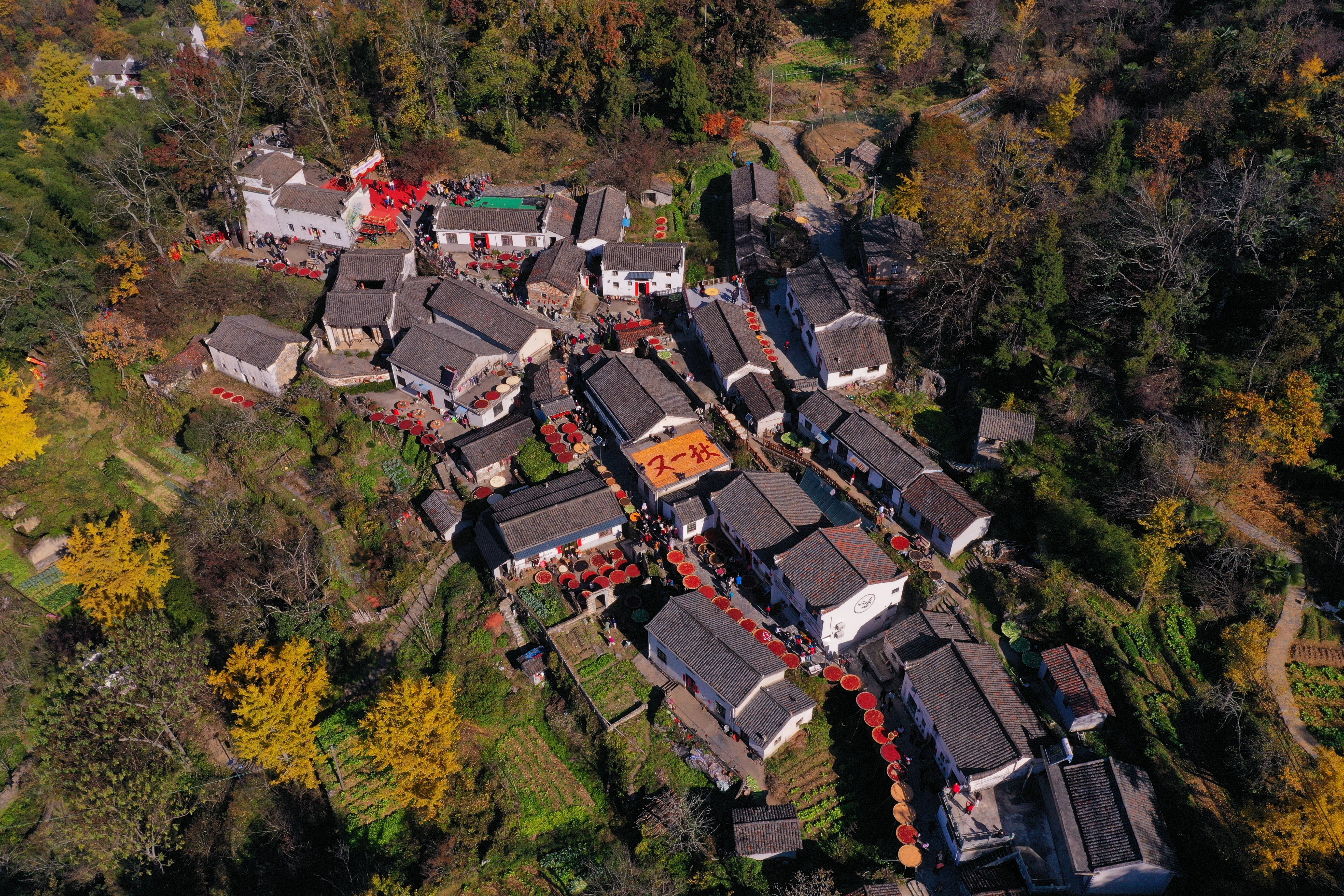 2025年11月15日七井画坑晒秋（江雪飞摄） (11)_20251116092509