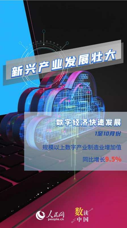 图片30