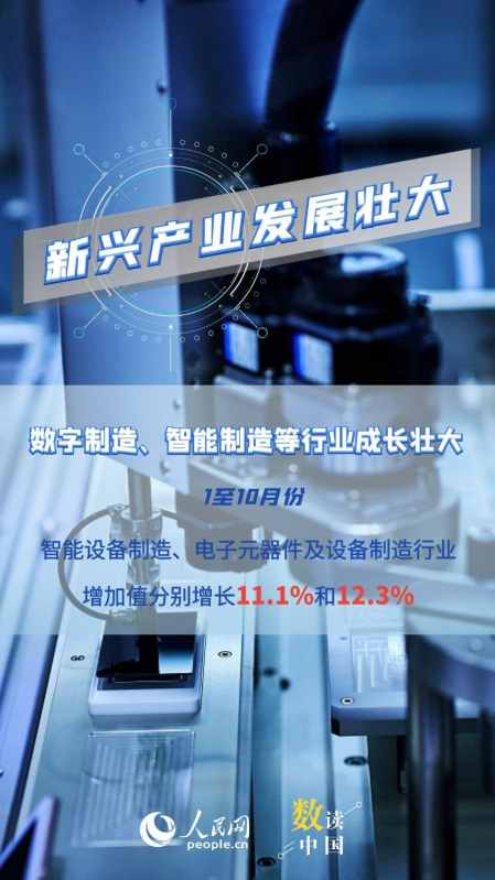 图片31
