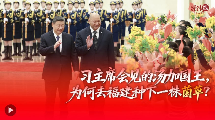 经纬线·习主席会见的汤加国王，为何去福建种下一株菌草？