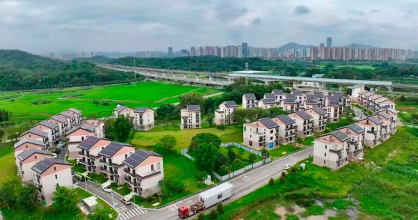 【理响中国·一线探新】海阔风正好扬帆，广州“百千万工程”行在前