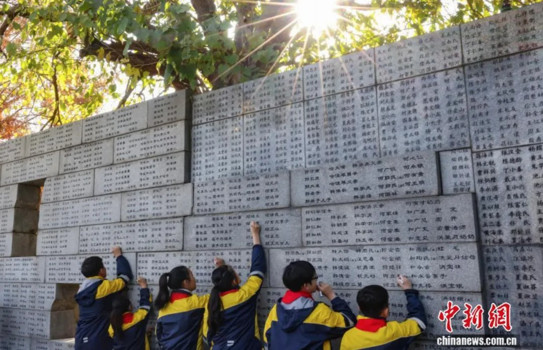 9e568b187e29489577e3616667ccea67