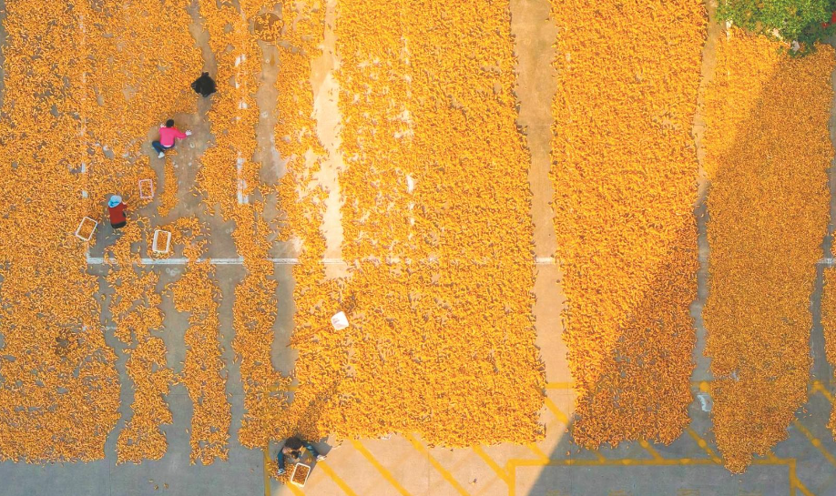 42249b76-c4c9-496e-8d20-7fde91692ef9