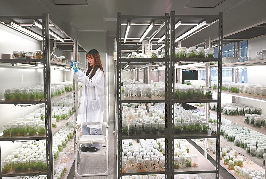 24209114-97ff-4c55-91cf-62214ecfef58