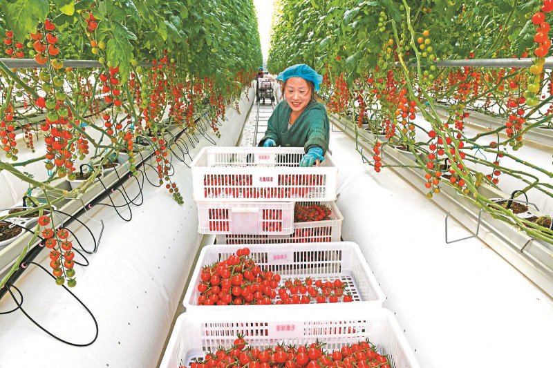 1fe36a223a7ba7159a097e97fbc2dc7b_W020260119242122693287